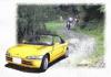 226HONDA beat