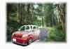 29160DAIHATSU esse custom