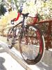 SPECIALIZED allez comp 2015