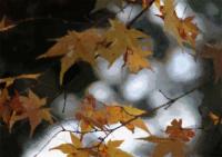 335���c�ɂ����G��