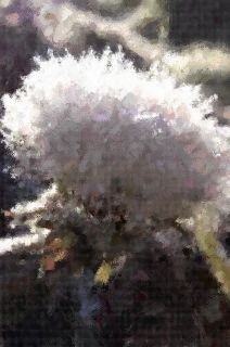 
V[gNȁuAڗqAvAuA87v
