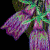 G]\E