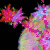 q_J~Zo 'Sparkle Pink'