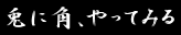 兎に角、やってみる